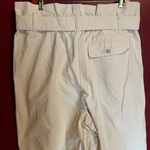 Banana Republic Belted Wide Leg Pants Size 18 Beige Paper-bag Pleated Waist - Picture 3 of 9
